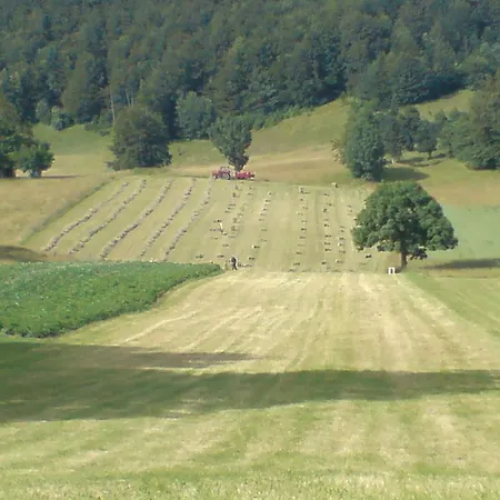 Sume Pjevaju * 므르코팔리