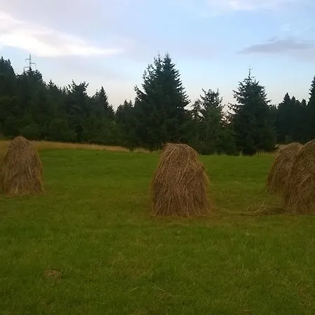 아파트 Sume Pjevaju *