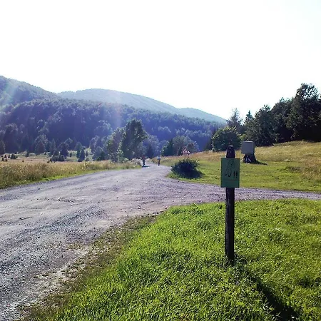 Sume Pjevaju * 므르코팔리