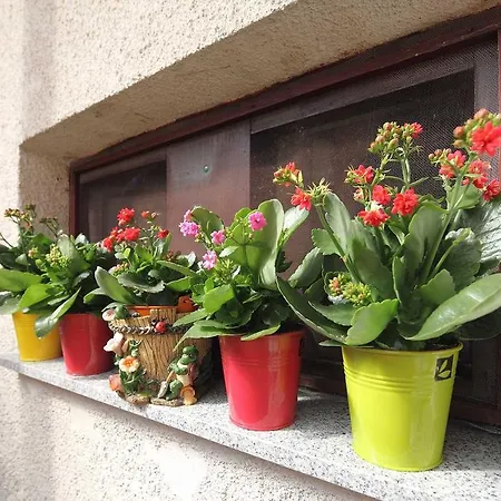 Apartament Sume Pjevaju