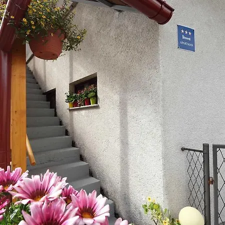 Sume Pjevaju Apartament Mrkopalj