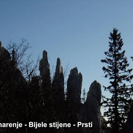 Sume Pjevaju Apartman *