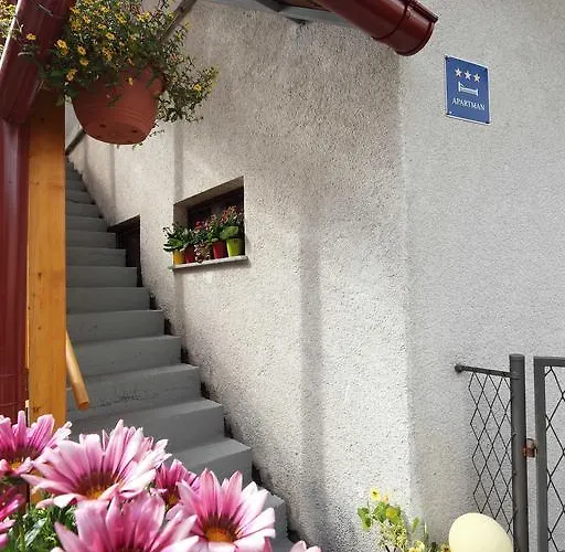 Sume Pjevaju Apartman Mrkopalj