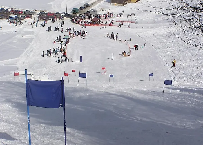 Sume Pjevaju Apartman