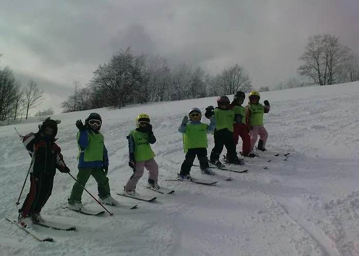 Apartman Sume Pjevaju *