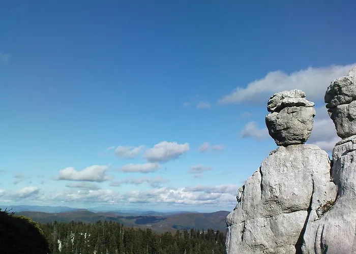 Sume Pjevaju * Mrkopalj