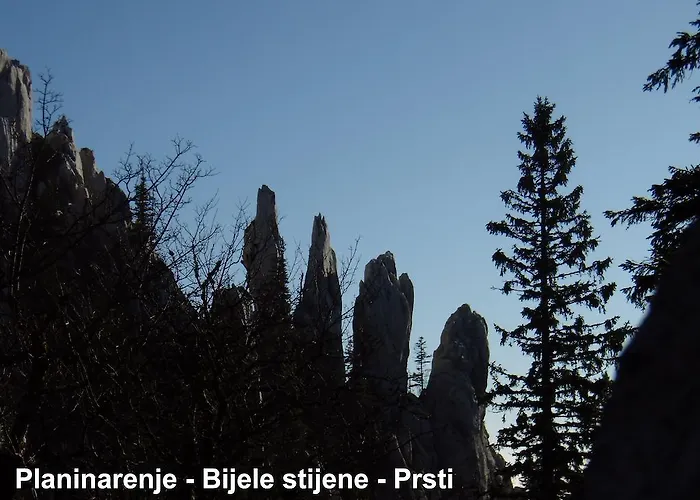 Sume Pjevaju Apartment *